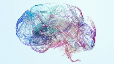 new-research-reveals-distinct-brain-changes-in-mental-disorders-time-news