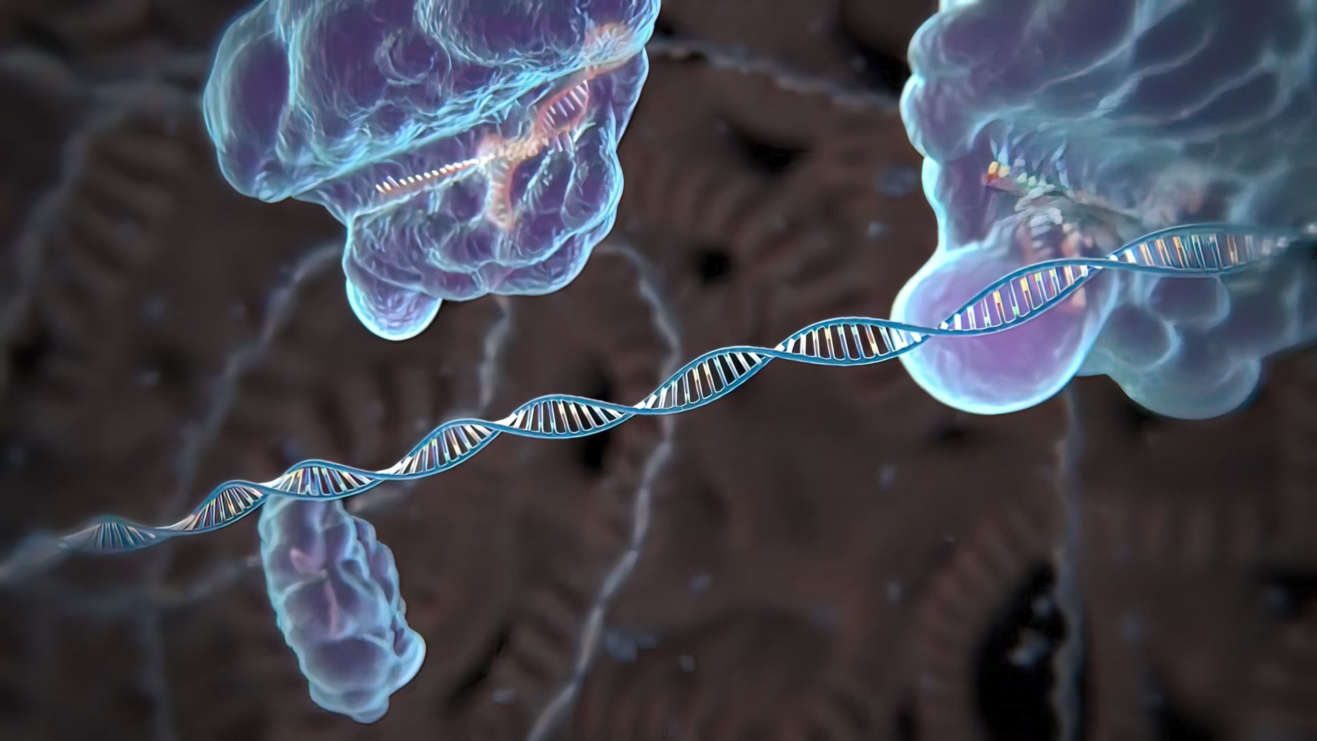 Profiling Transcription Factor Binding Affinities Across The Genome